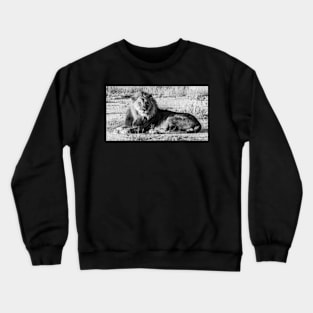 Lion sitting. Crewneck Sweatshirt